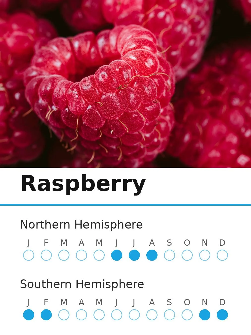 Raspberry (view 2)