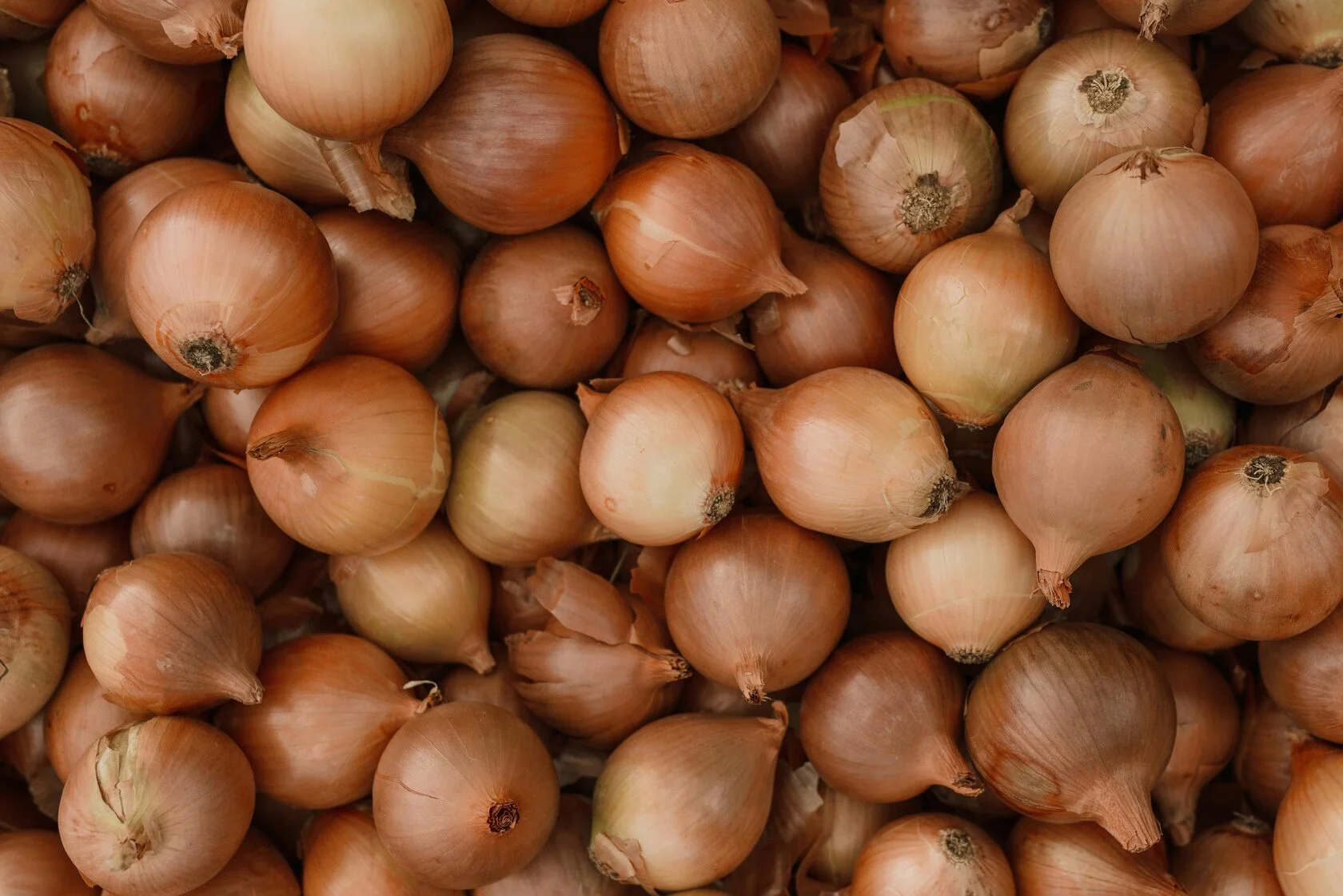 Onion