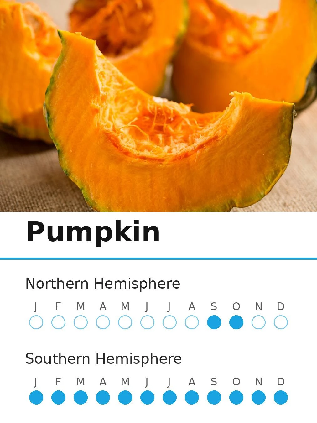 Pumpkin (view 2)