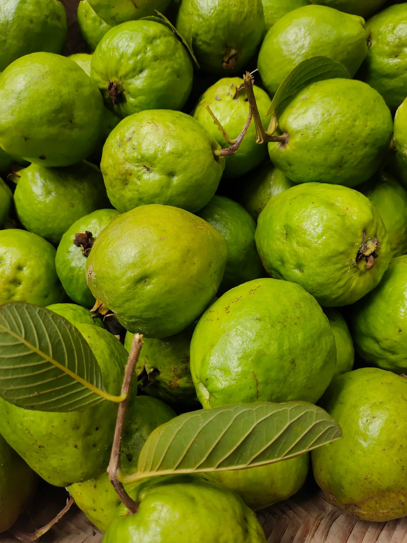 White guava