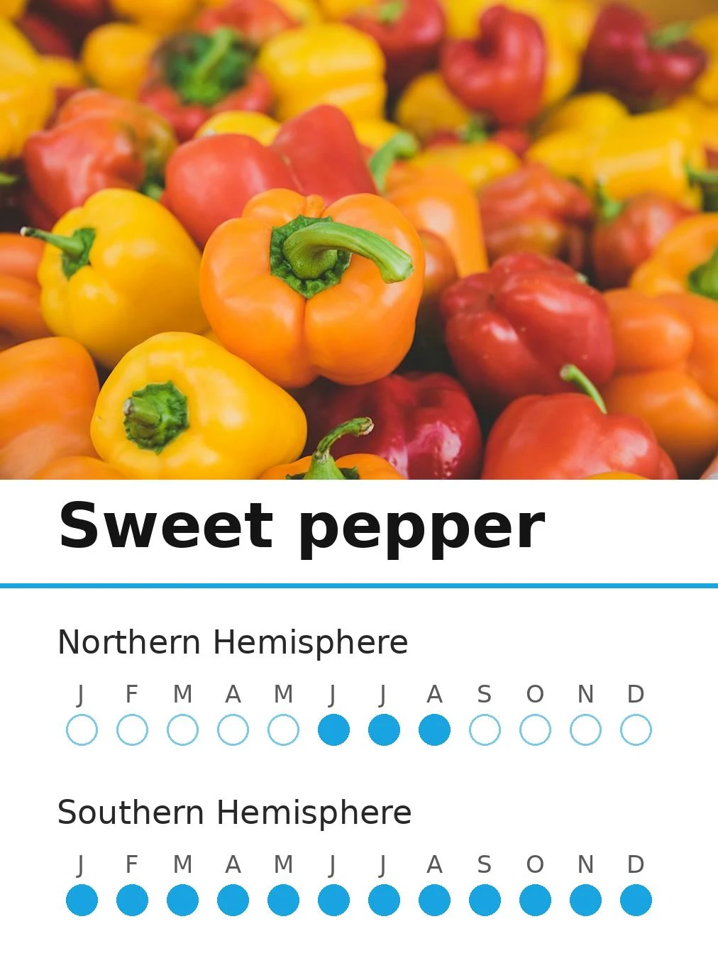 Sweet pepper (view 2)