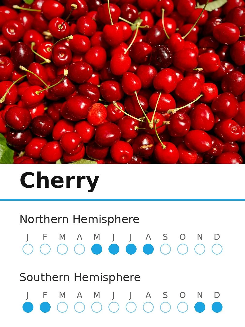 Cherry (view 2)