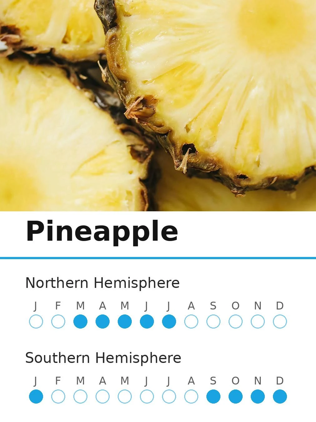 Pineapple (view 2)