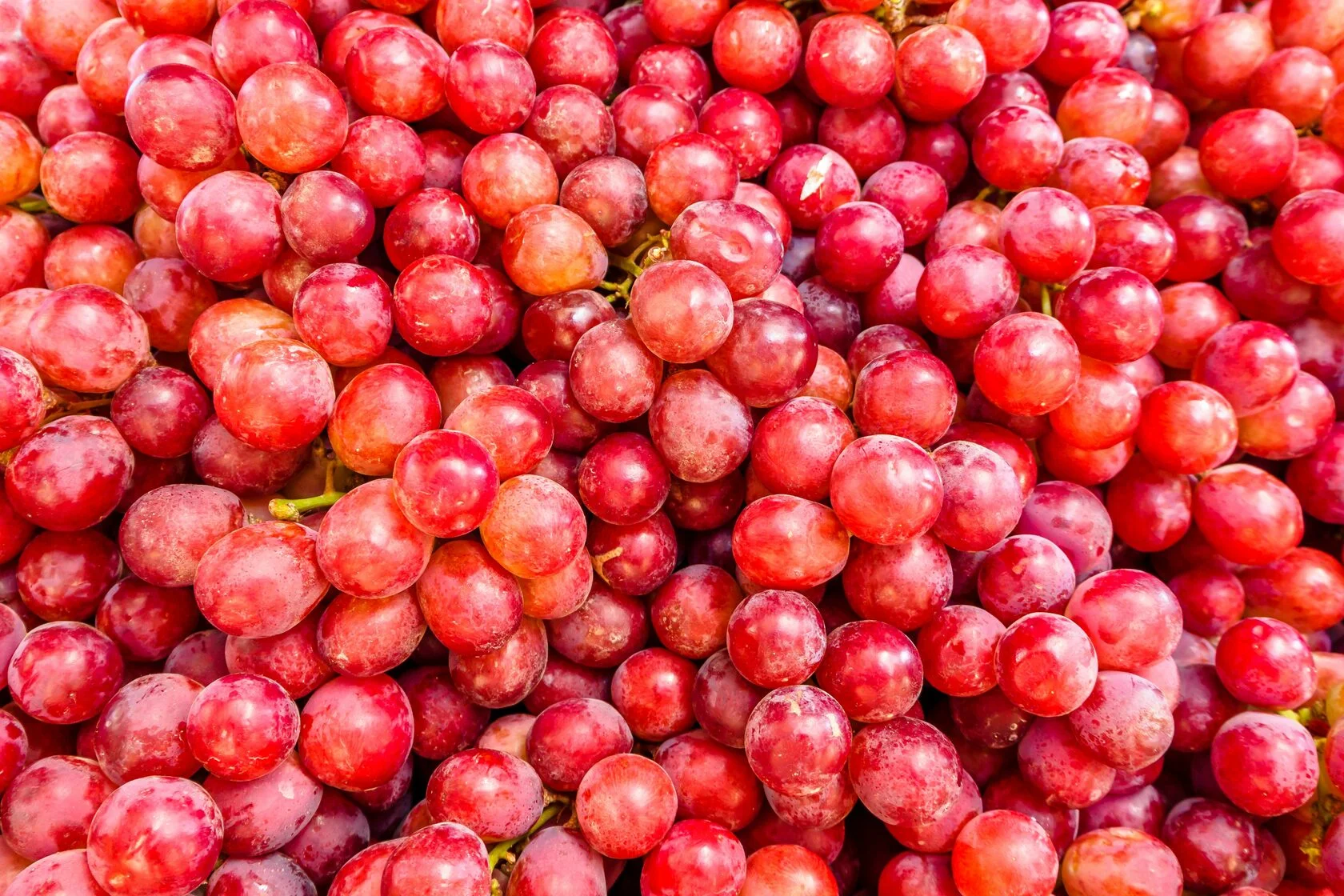 Red grape