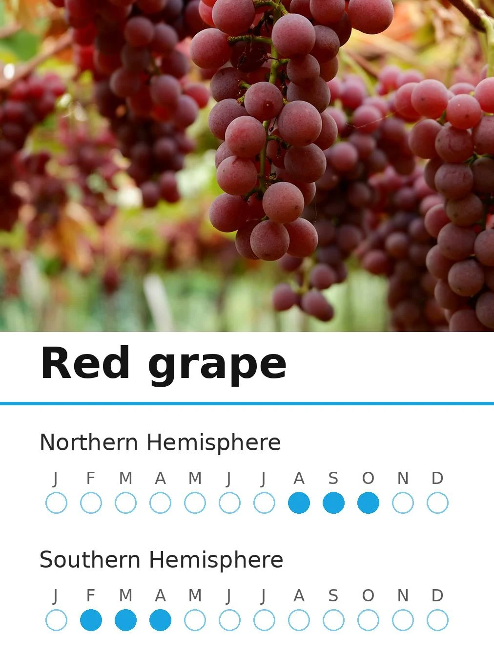 Red grape (view 2)