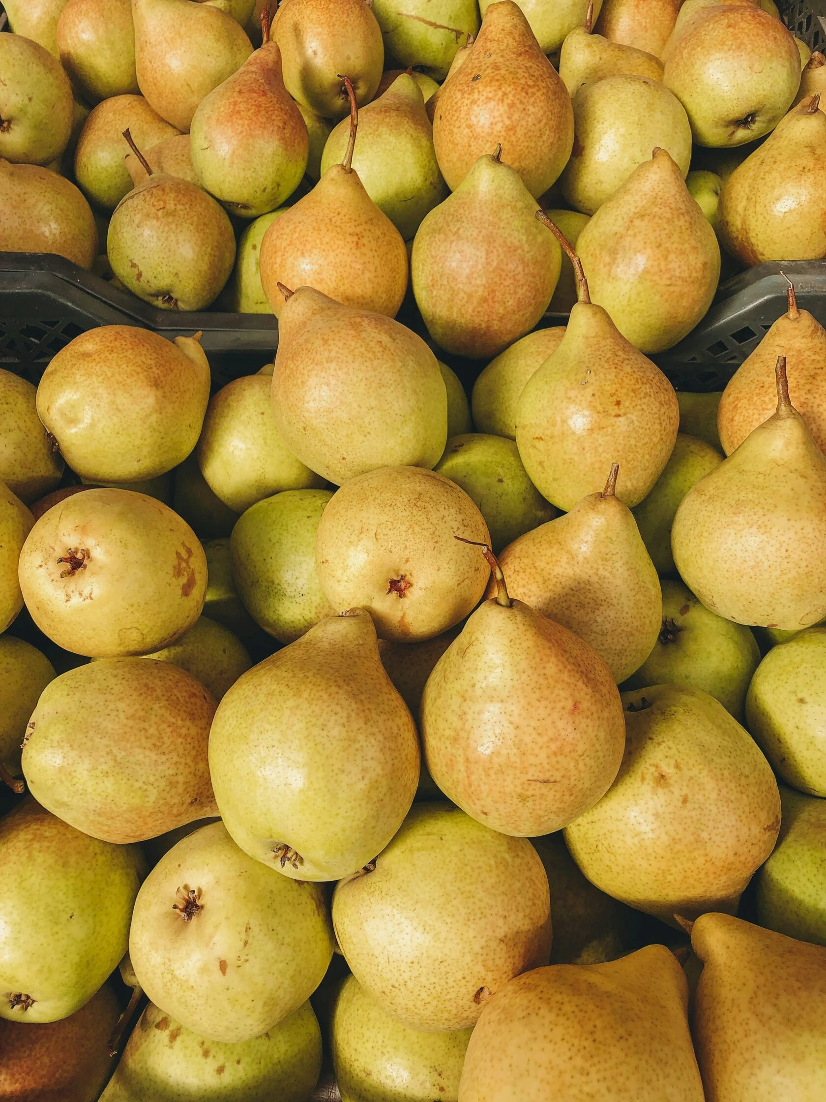 Pear