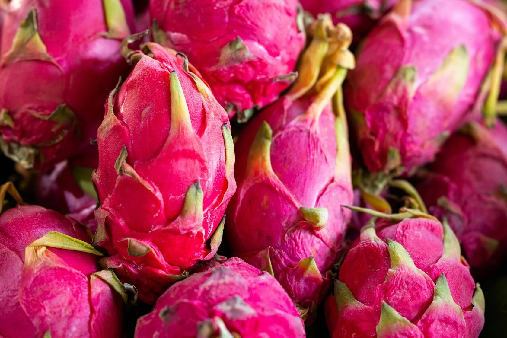Dragon fruit (Pitahaya)