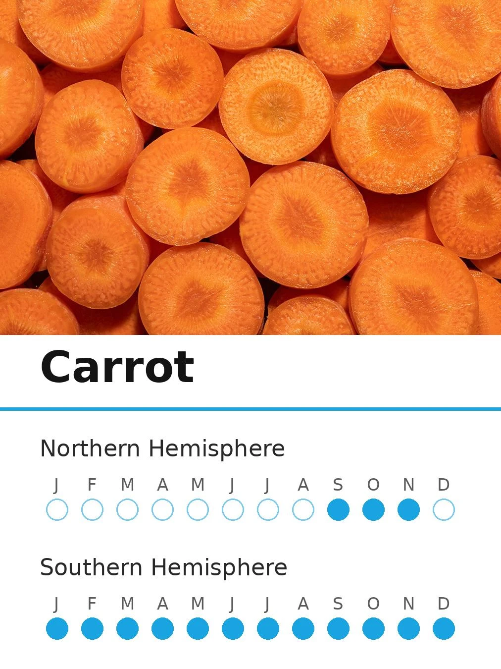 Carrot (view 2)