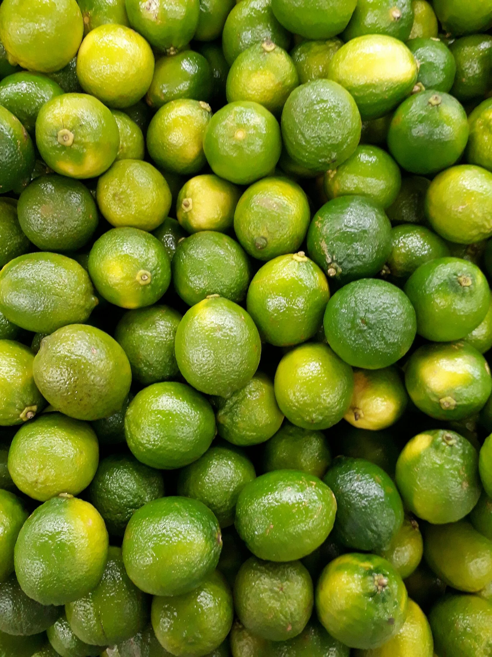 Lime
