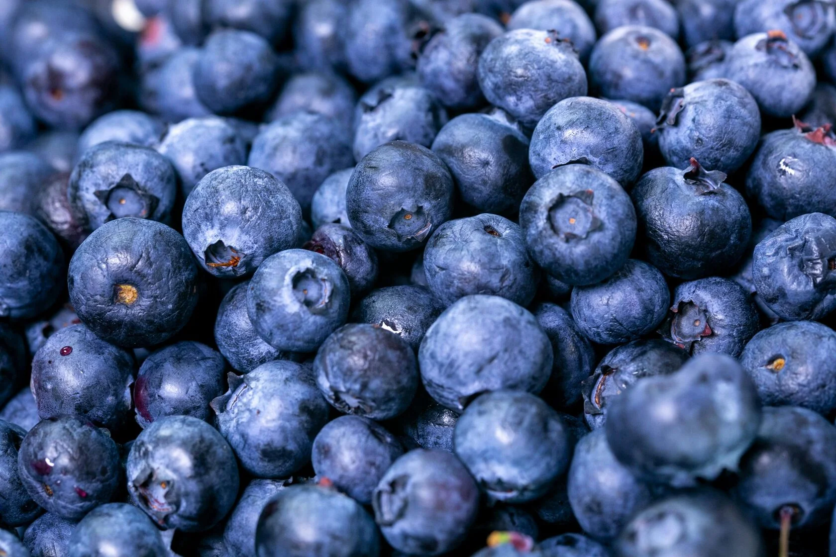 Blueberry