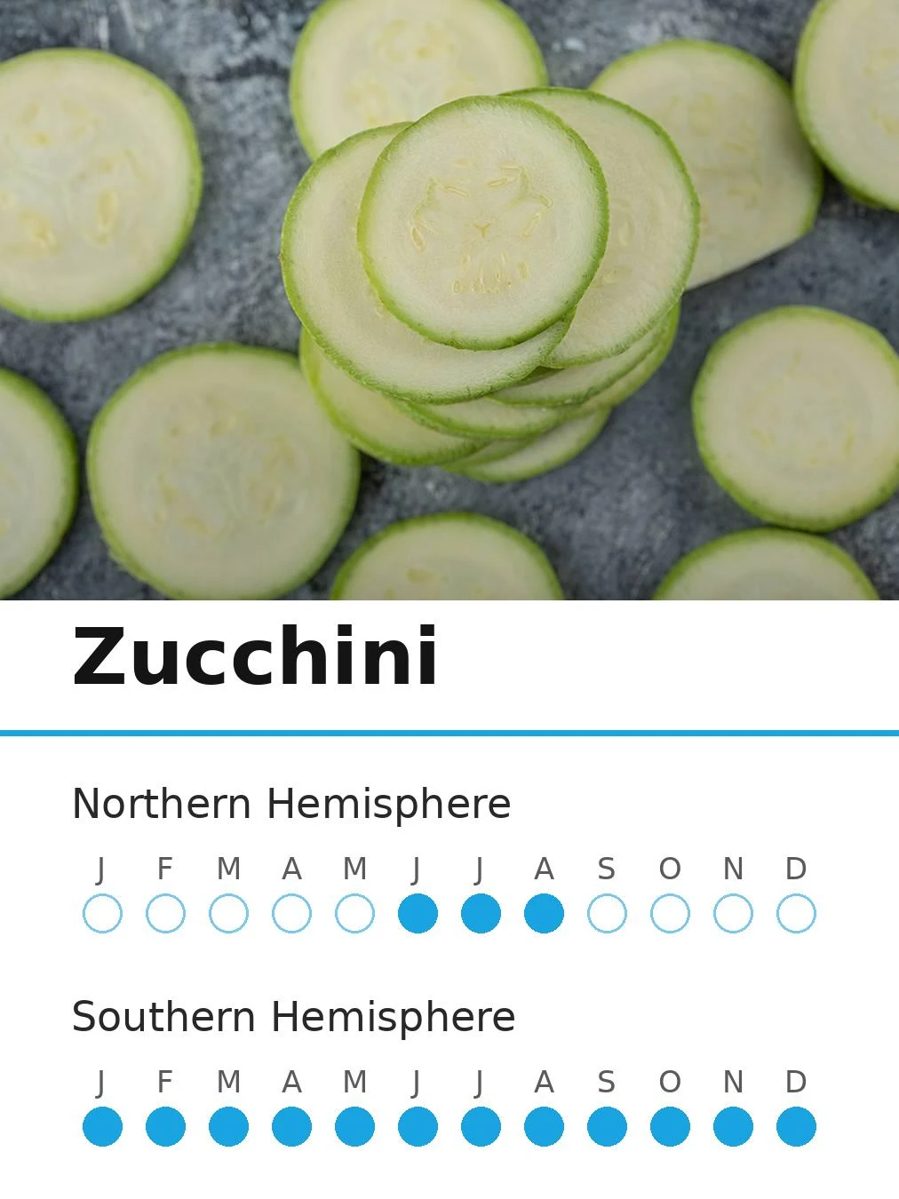 Zucchini (view 2)