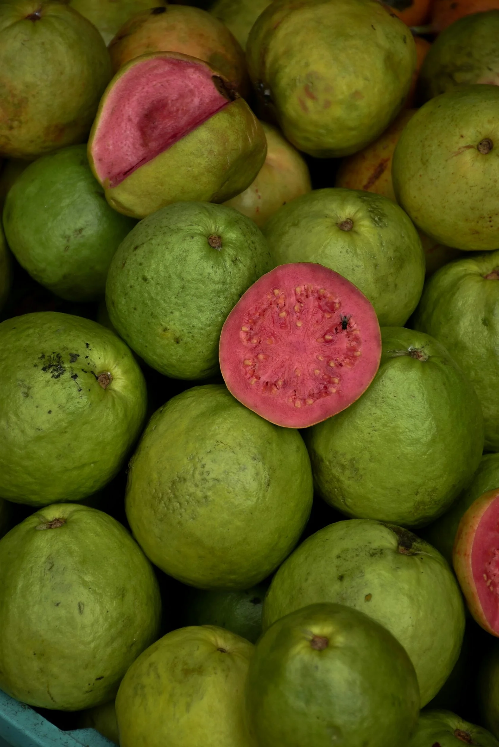 Pink guava