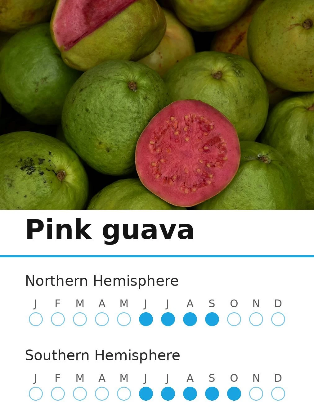 Pink guava (view 2)