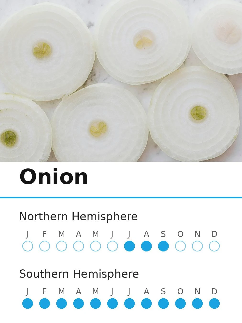 Onion (view 2)