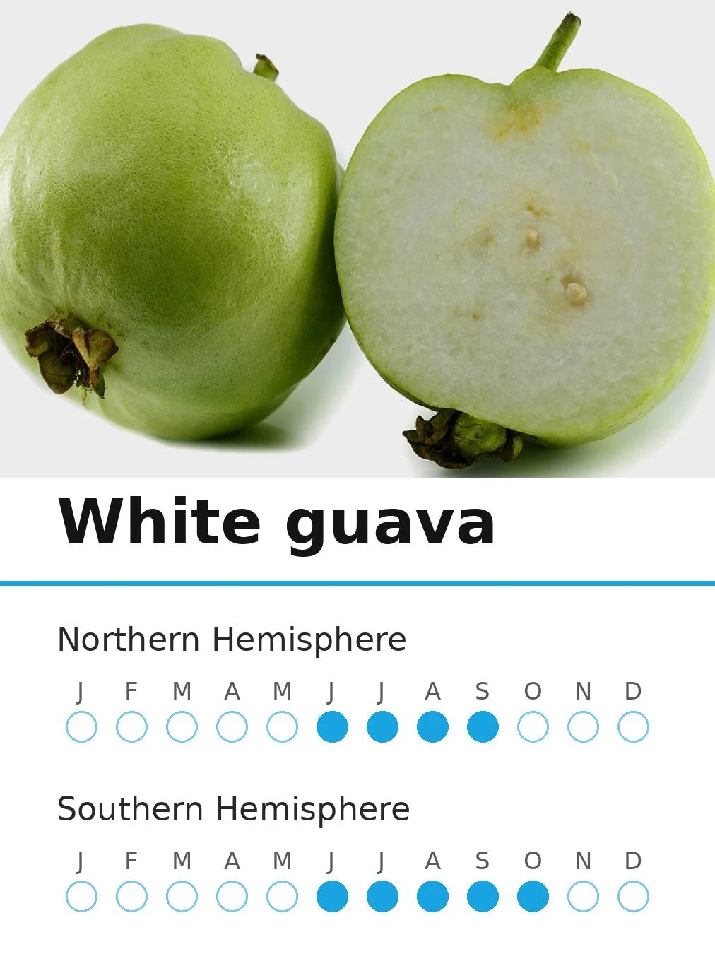 White guava (view 2)