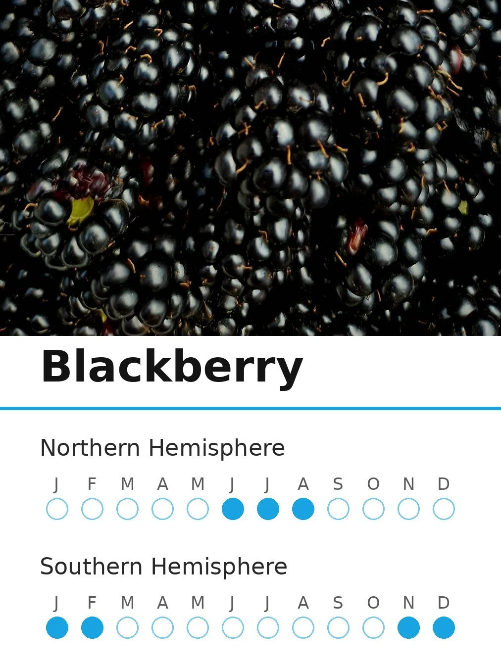 Blackberry (view 2)