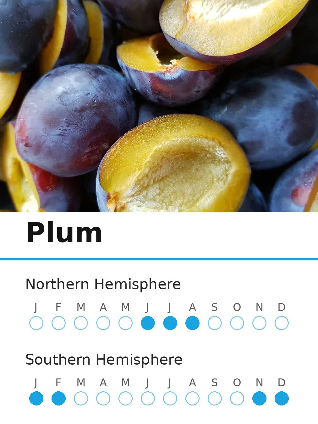 Plum (view 2)