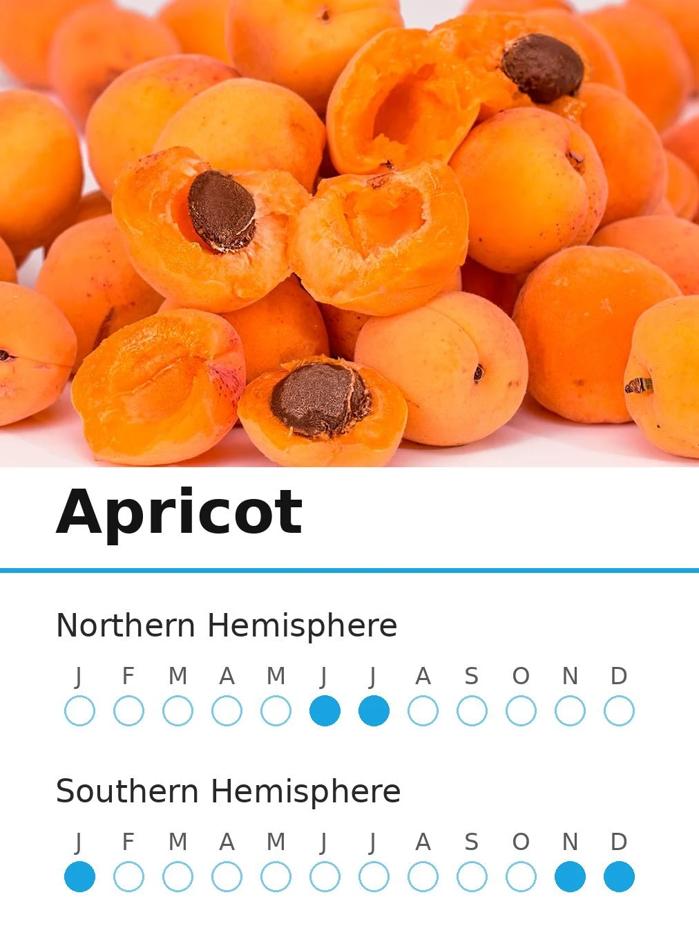 Apricot (view 2)