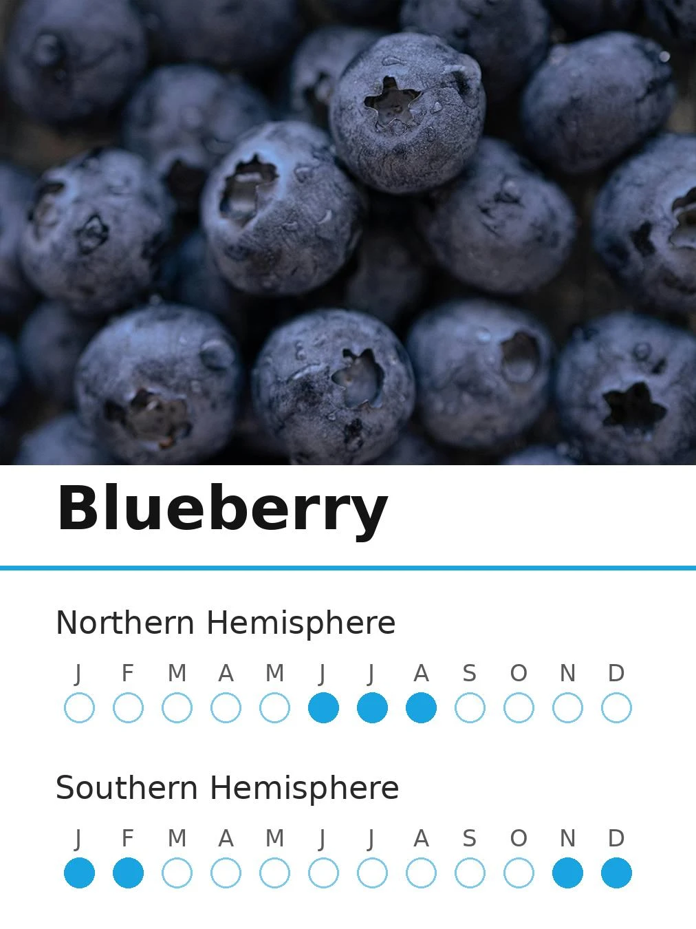 Blueberry (view 2)