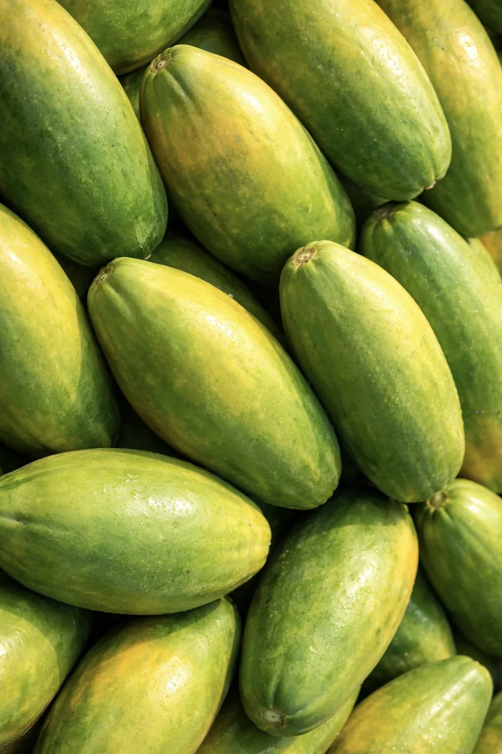 Papaya