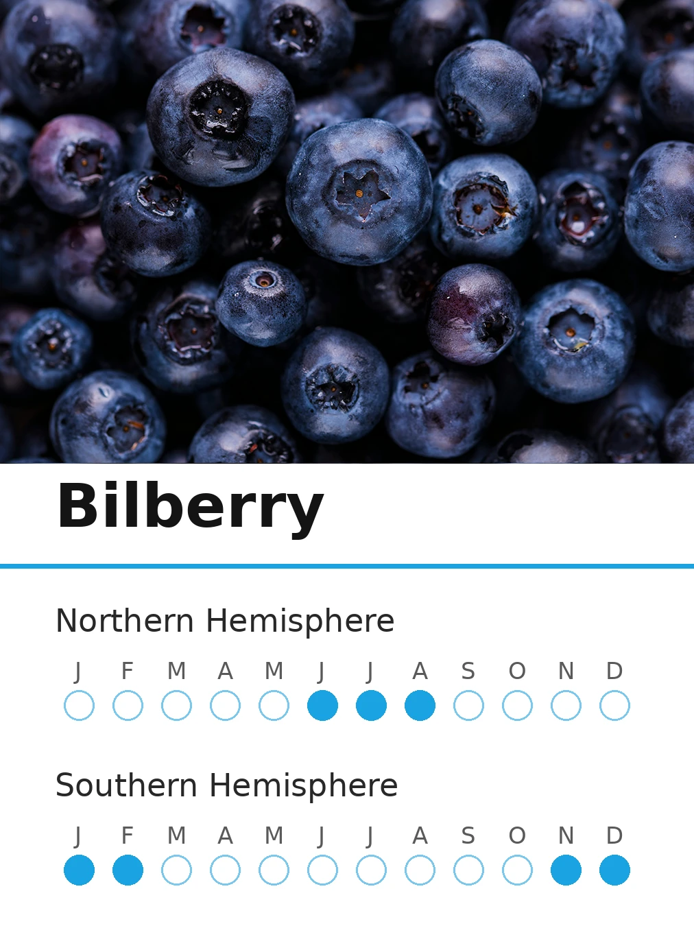 Bilberry (view 2)