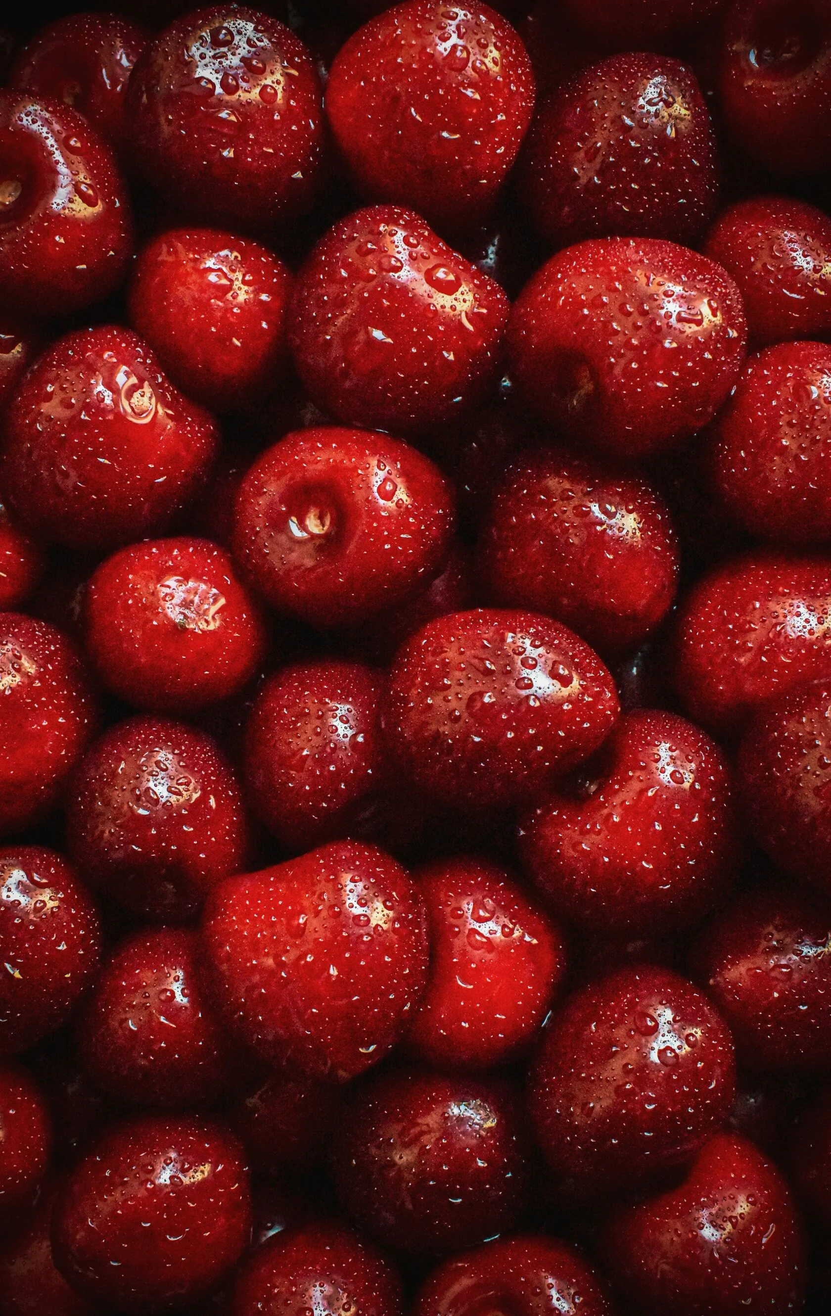 Sweet Cherry